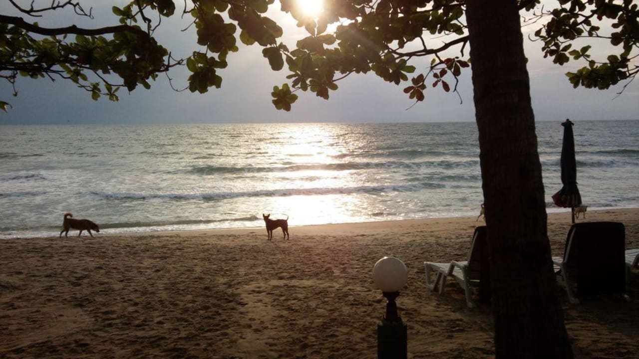 Blick vom Restaurant zum Meet The Fair House Beach Resort