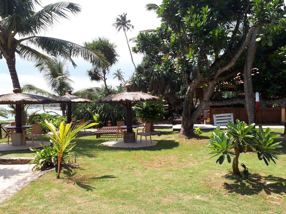 Gartenanlage Hotel Insight Resort