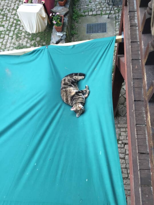 Tapo entspannt sich Brückenhof Rohna