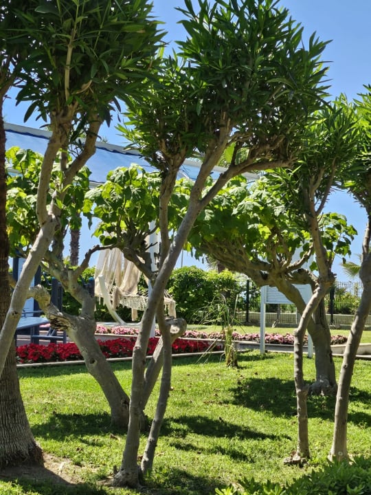 Gartenanlage VONRESORT Golden Beach