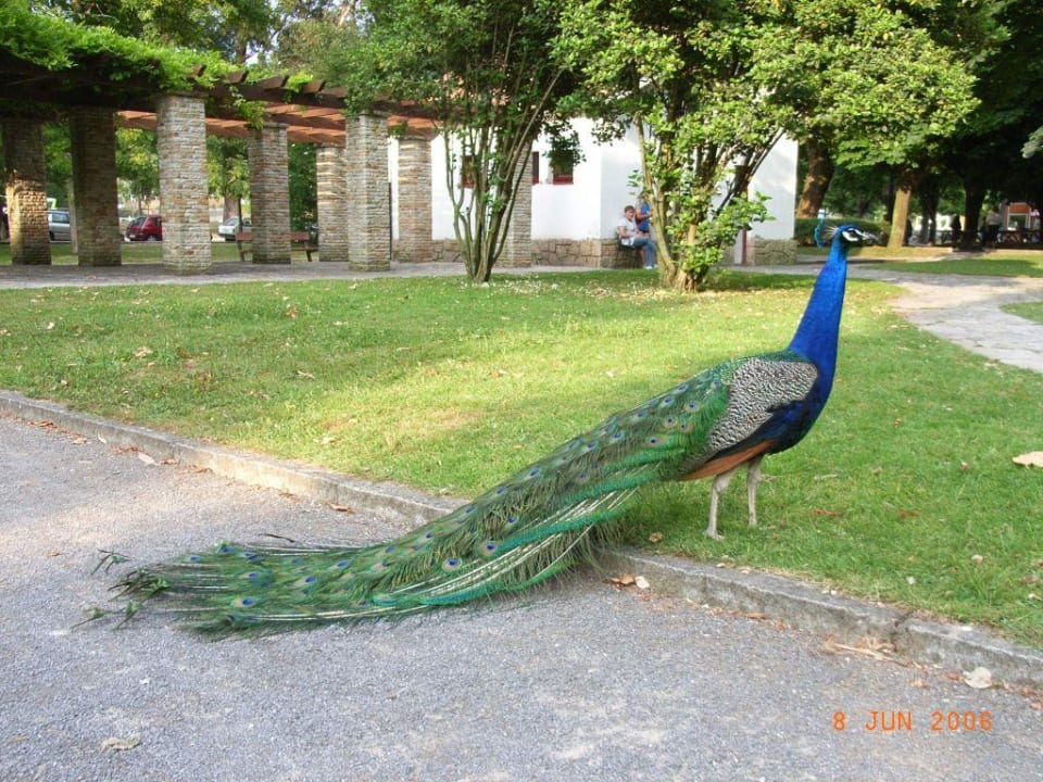 Im Park beim Parador Hotel Parador de Gijón
