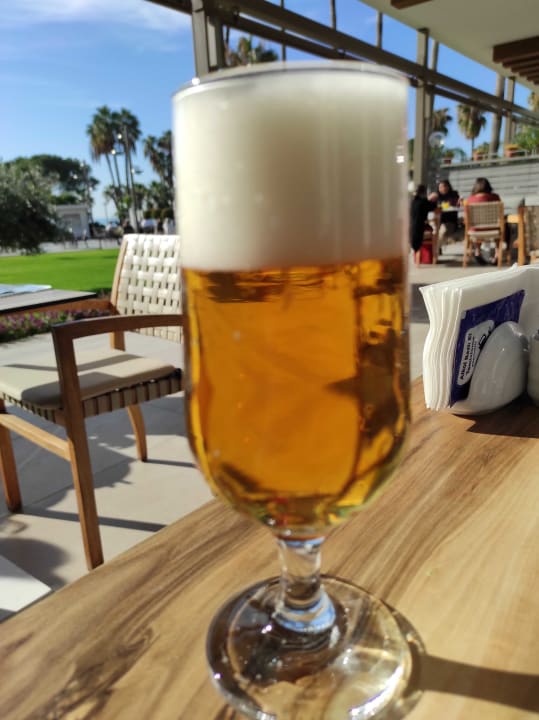 Gastro Acanthus Cennet Barut Collection