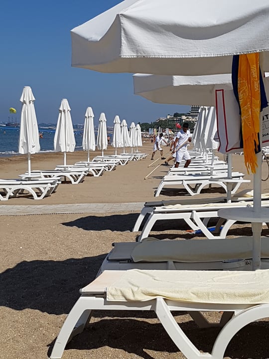 Strand Acanthus Cennet Barut Collection