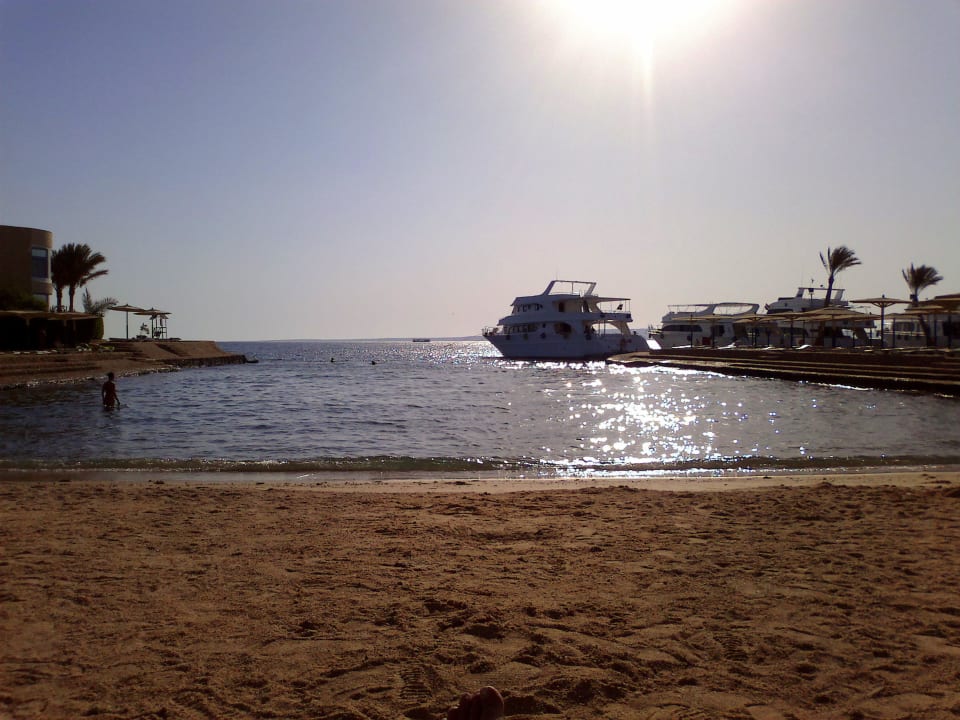 Plaz Seagull Beach Resort