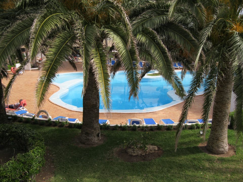 Pool unter Palmen Hotel & Spa S'Entrador Playa