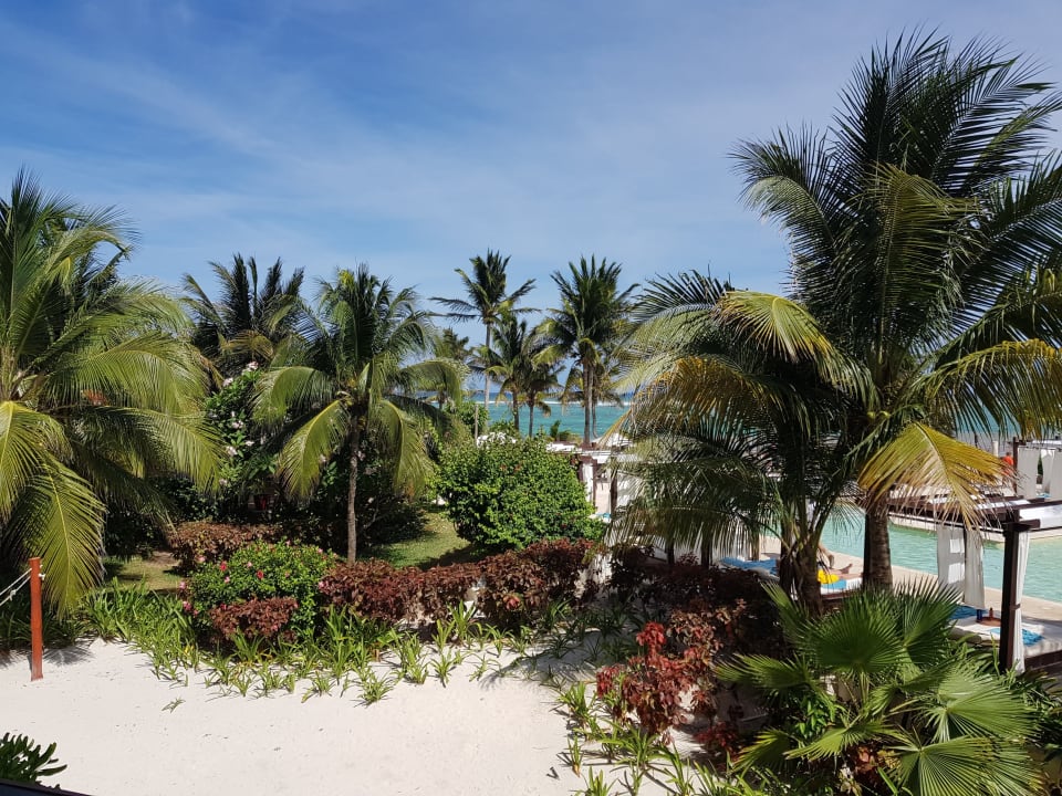 Zimmer Akumal Bay Beach & Wellness Resort