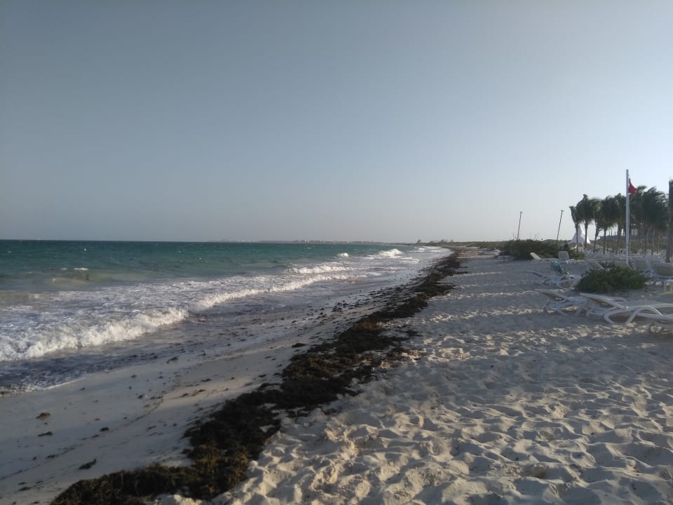 Strand Hotel Riu Dunamar