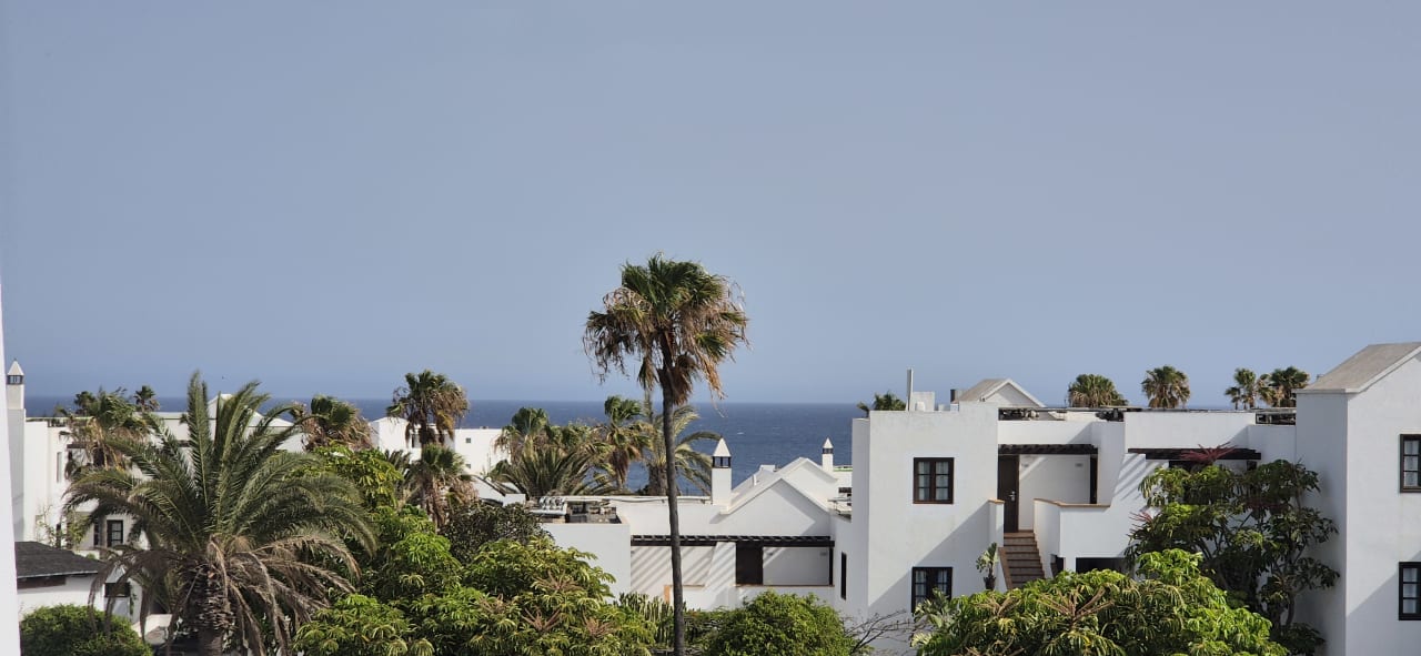 Ausblick allsun App.-Hotel Albatros