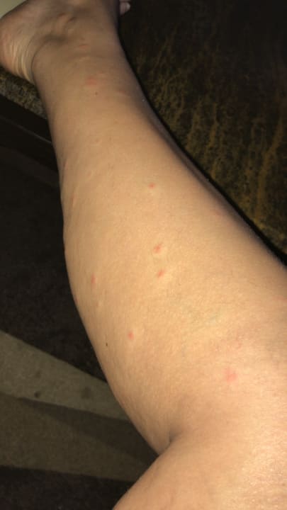 Zimmer Titanic Beach Spa & Aqua Park