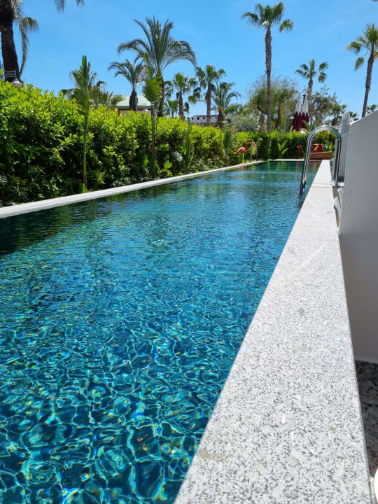 Pool Belek Beach Resort Hotel