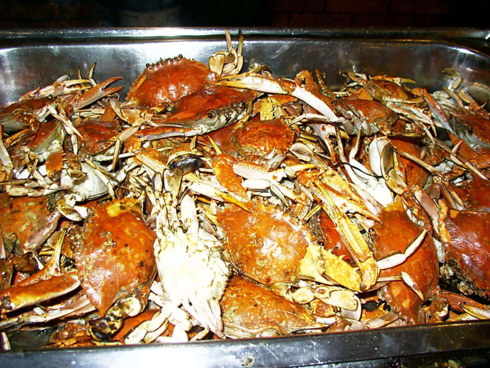 Krabben lecker Pickalbatros Alf Leila Wa Leila Resort - Neverland Hurghada