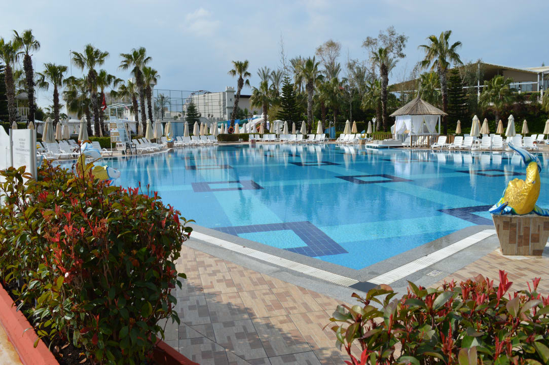 Pool Hotel Delphin Imperial