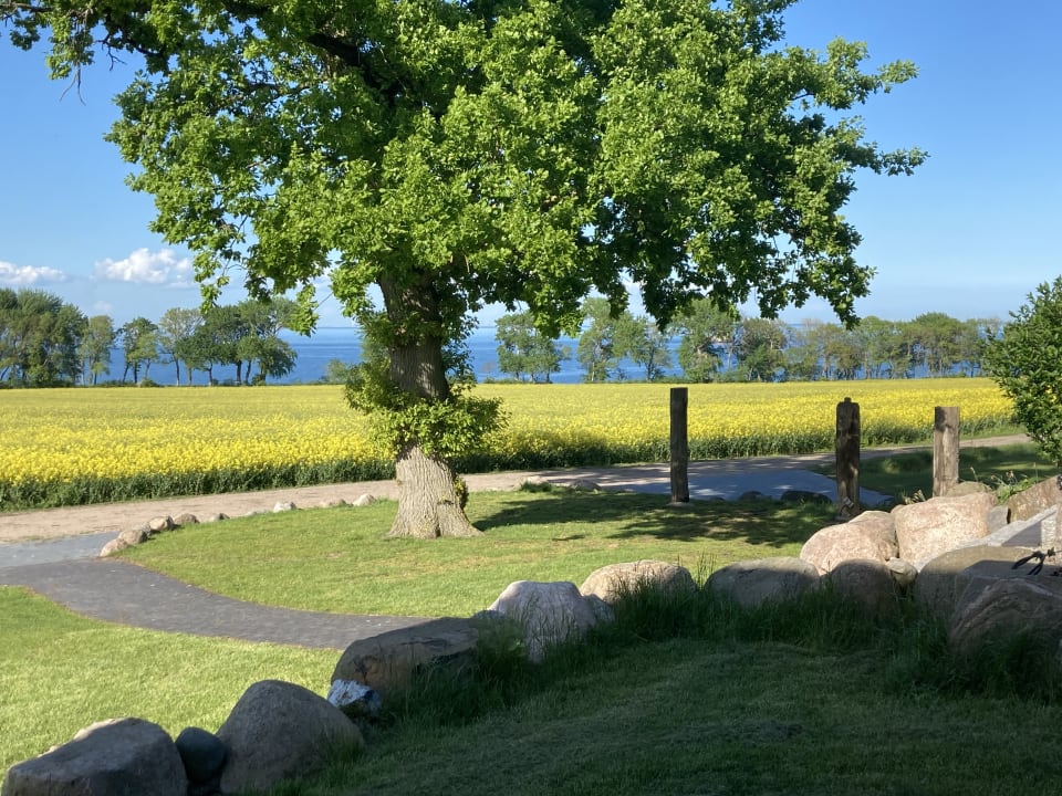 Ausblick Ferienbauernhof Liesenberg mit Meerblick