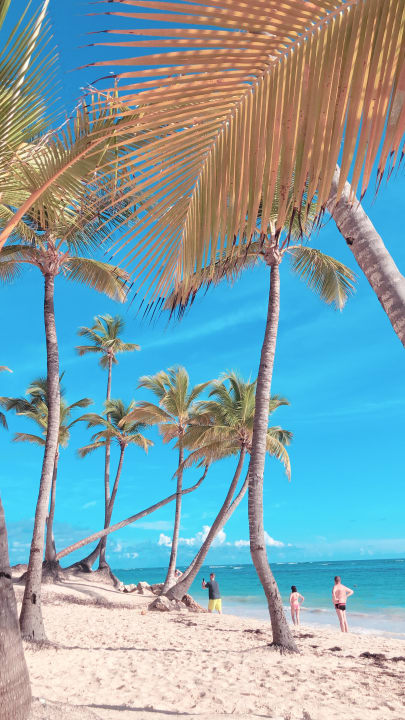 Strand Hotel Riu Palace Bavaro
