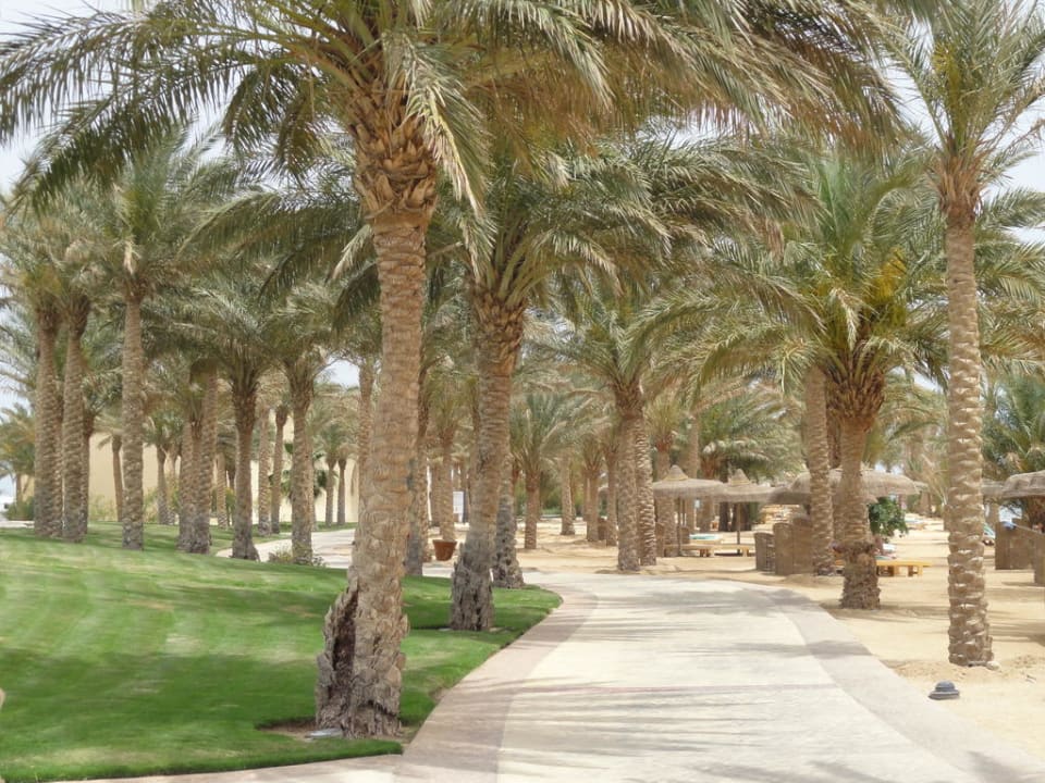 Strandpromenade Palm Royale Resort - Soma Bay