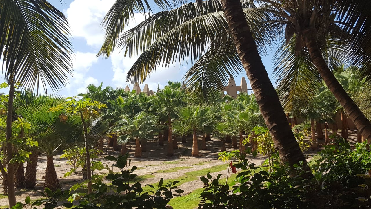 Gartenanlage Hotel Riu Funana