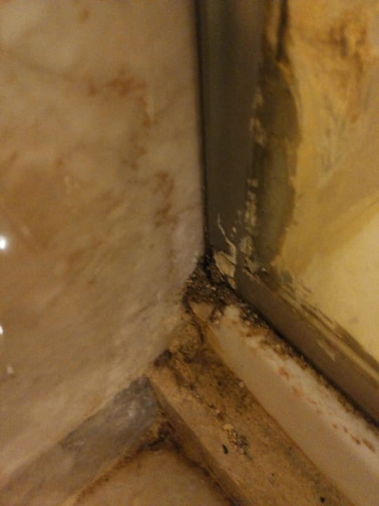 Lecker Dusche Steigenberger ALDAU Beach Hotel