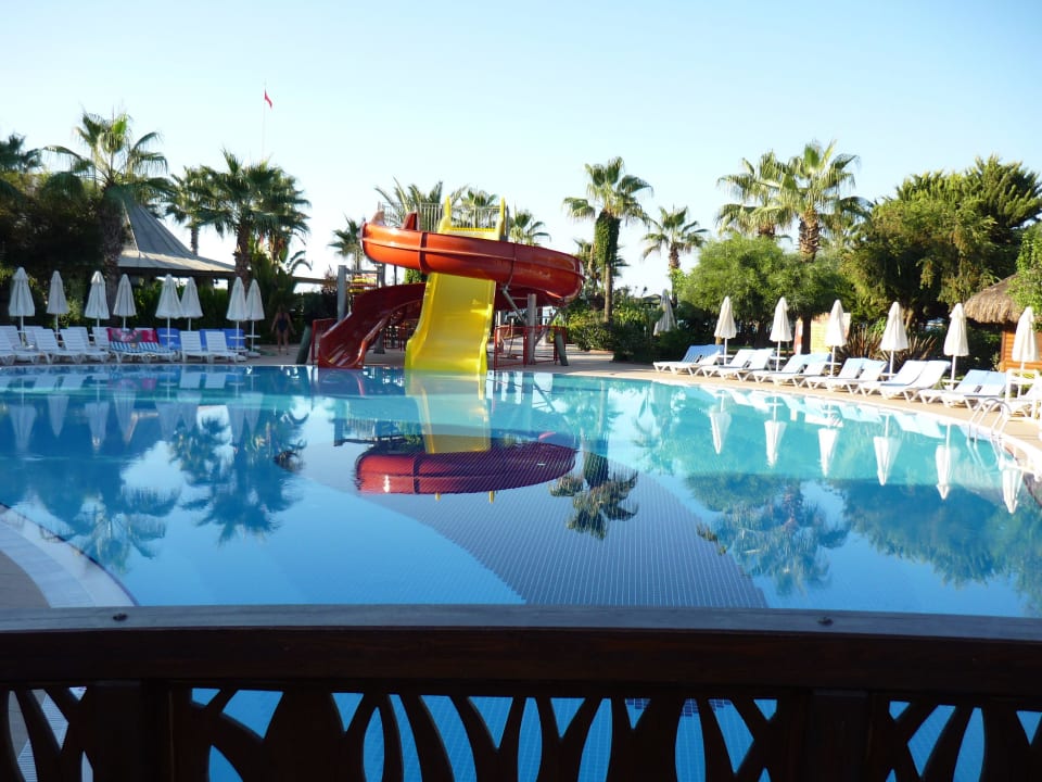 Pool Palmeras Beach Hotel