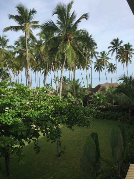 Ausblick Viva V Samana by Wyndham – Adults Only