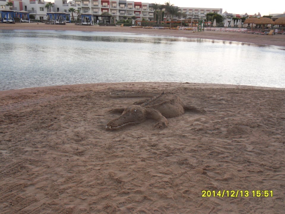 Krokodil SUNRISE Crystal Bay Resort