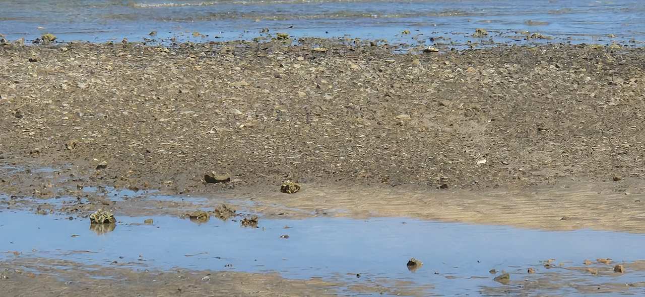 Strand Three Corners Equinox Beach Resort