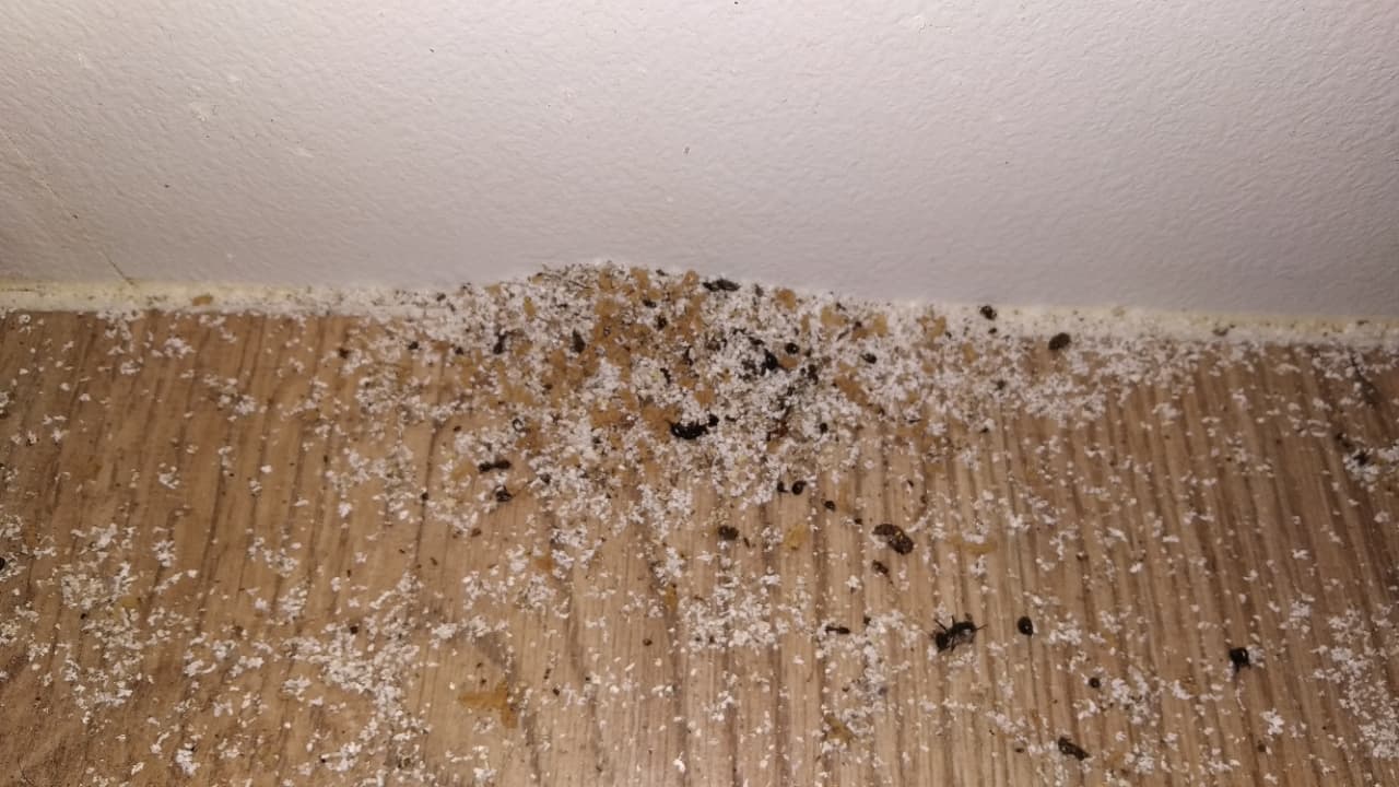 Zimmer Maistra Camping Valkanela