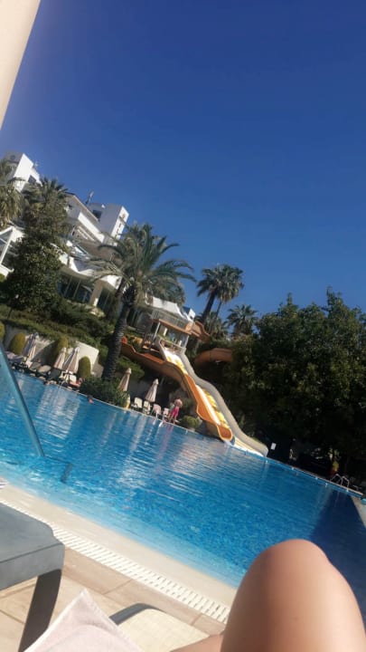 Pool Side Star Elegance