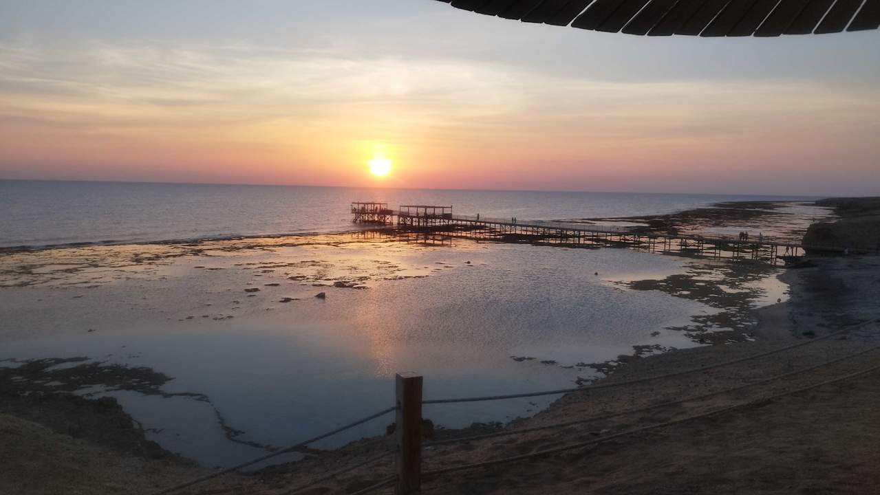 Strand JAZ Neo Reef Marsa