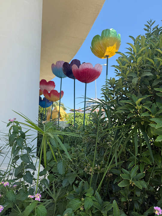 Ausblick Side Alegria Hotel & Spa - Adults only +16