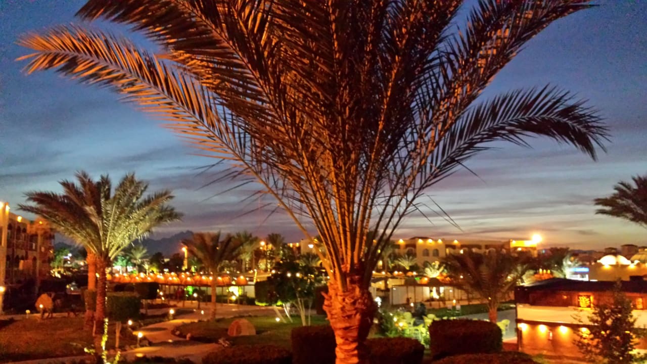 Вид из номера Desert Rose