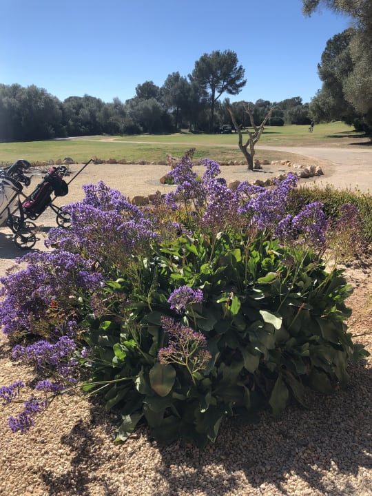 Garten Hacienda Son Antem Golf Resort, Autograph Collection