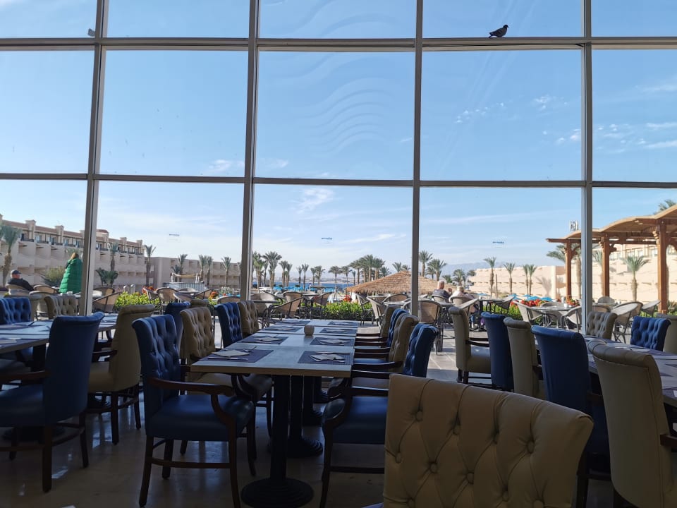 Gastro Pyramisa Beach Resort Sahl Hasheesh