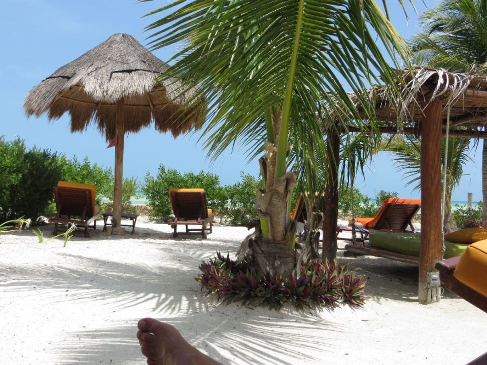 Selbsterklärend Hotel Villas Flamingos