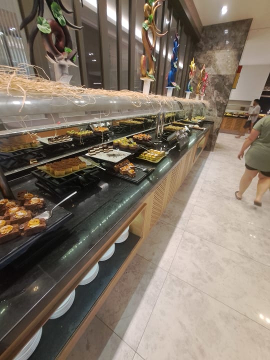 Gastro Seashell Vega