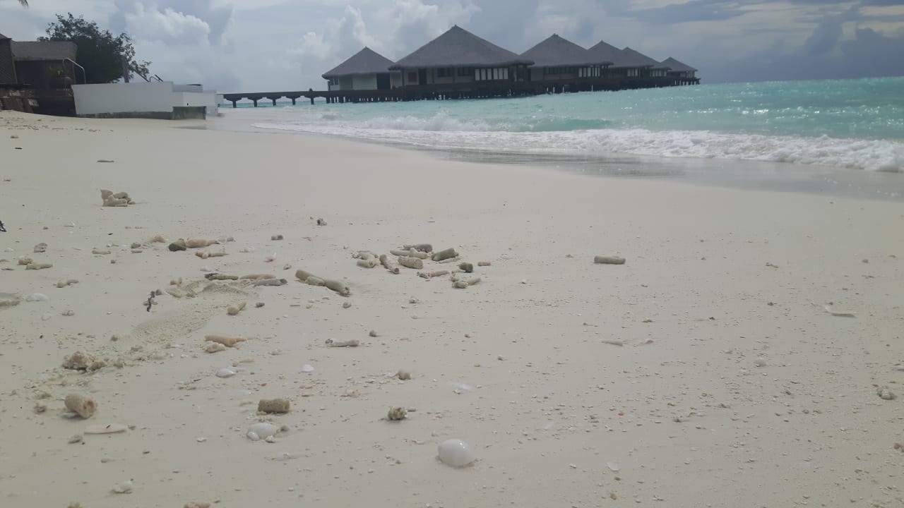 Strand Kihaa Maldives