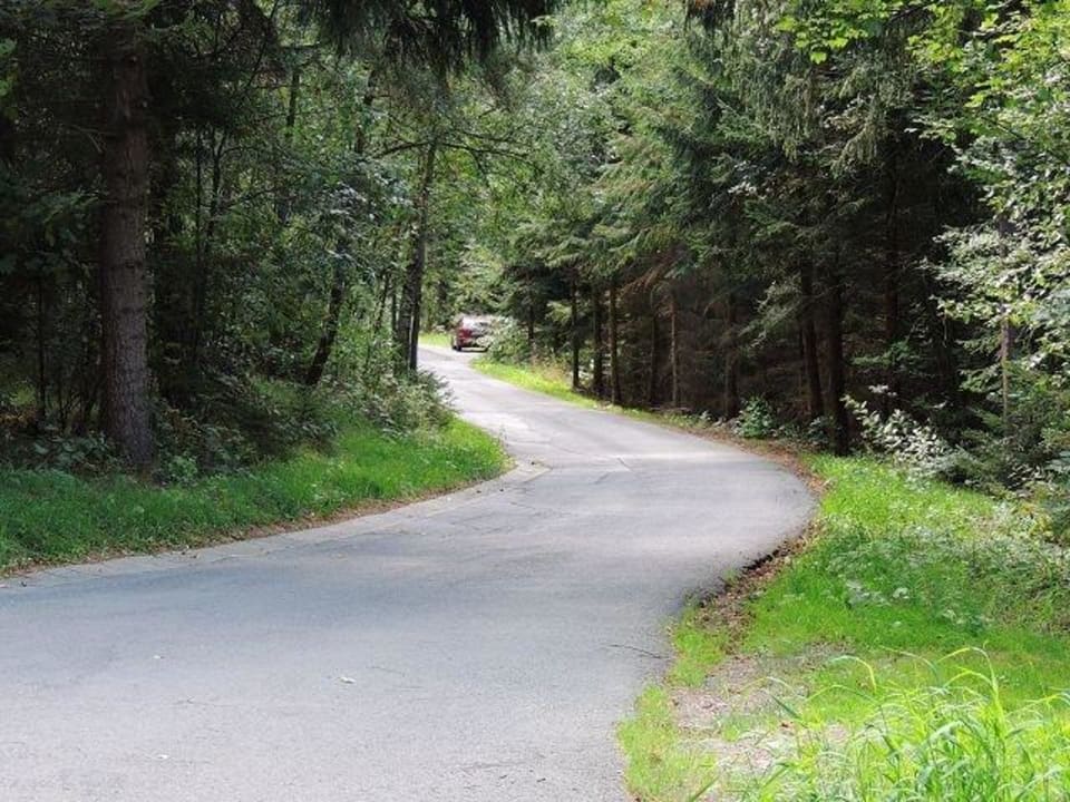 Zufahrtstrasse Sonnenhotel Hoher Hahn