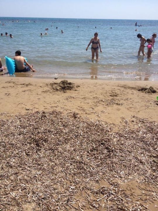 Strand voll Müll Seaden Corolla Hotel