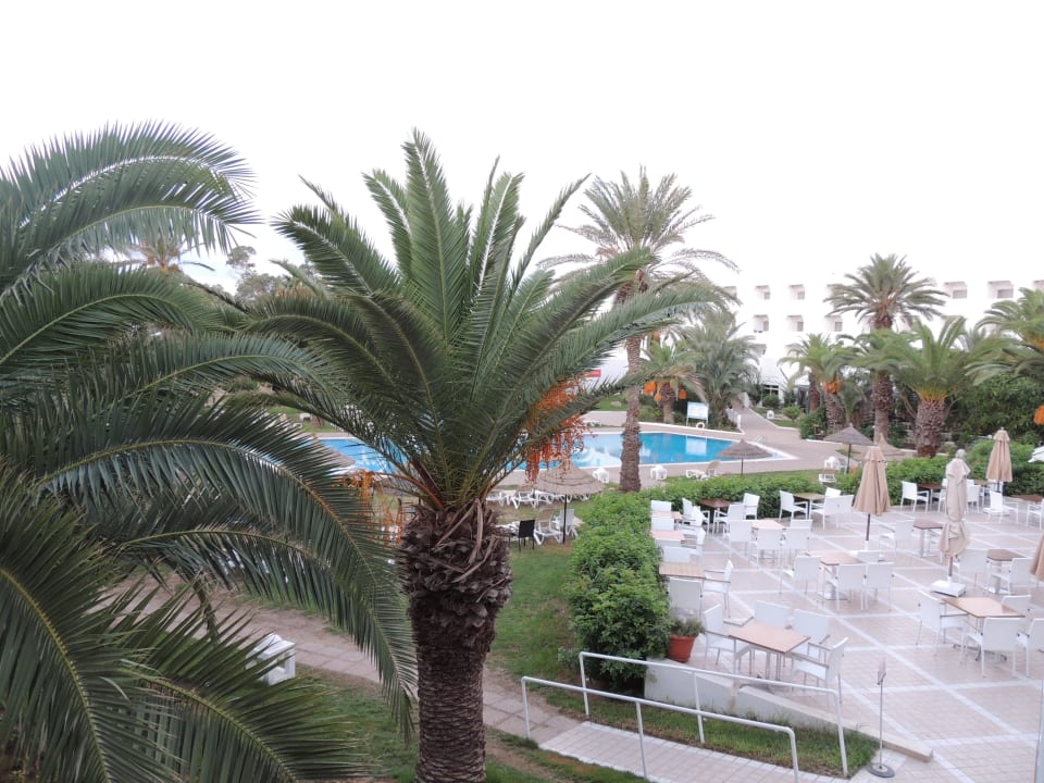 Вид из окна TUI BLUE Palm Beach Hammamet