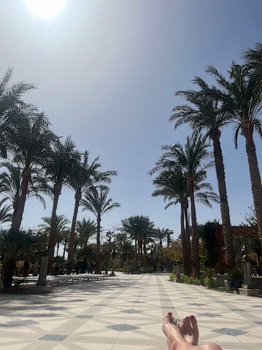 Außenansicht The Grand Palace - Adults only