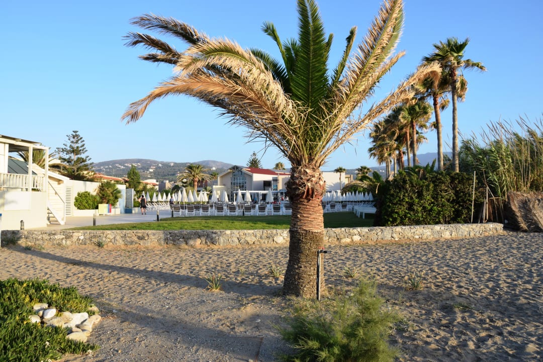 Strand Hotel Minos Mare Beach