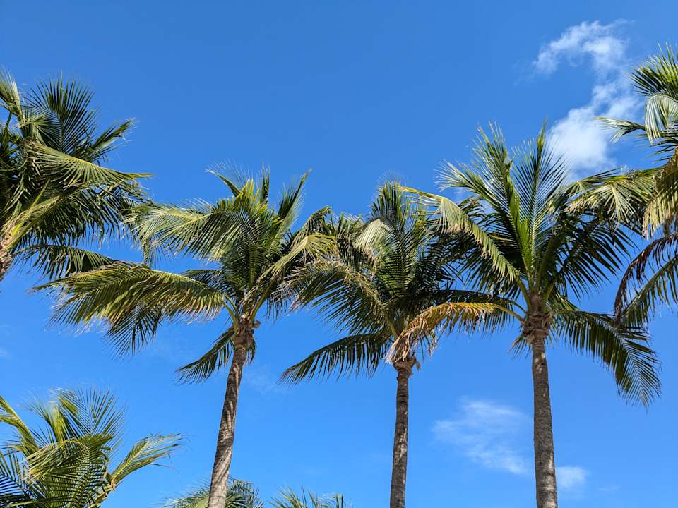 Strand Hotel Riu Caribe