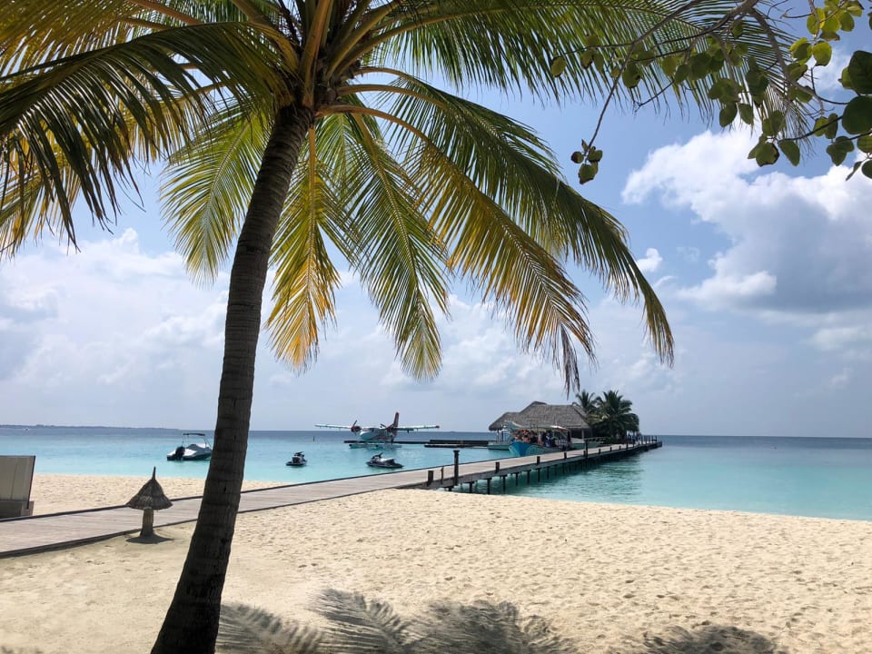 Gartenanlage Veligandu Maldives Resort Island