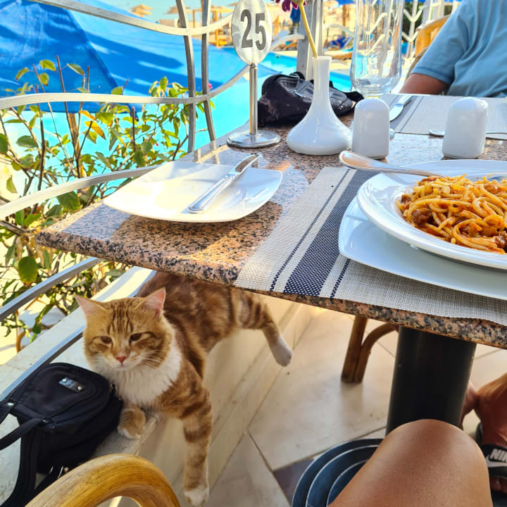 Sonstiges Shams Prestige Abu Soma-Adults Only