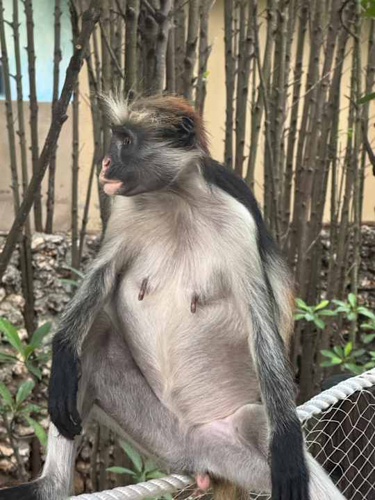 Sonstiges Reef & Beach Resort