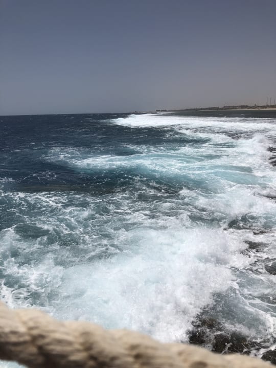 Meer.... schwimmen oder schnorcheln nicht möglich! Novotel Marsa Alam Beach Resort