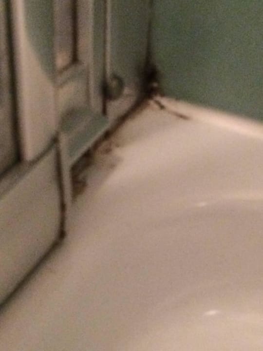 Dusche Doppelzimmer 1 Hotel Anapaya