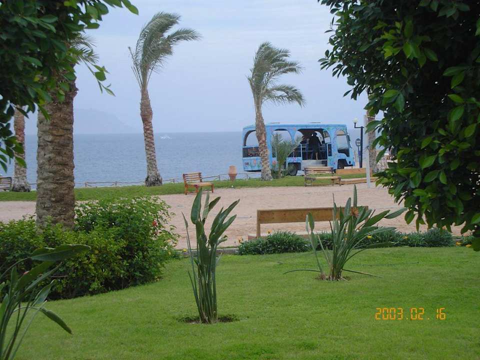 Ogród Sultan Gardens Resort