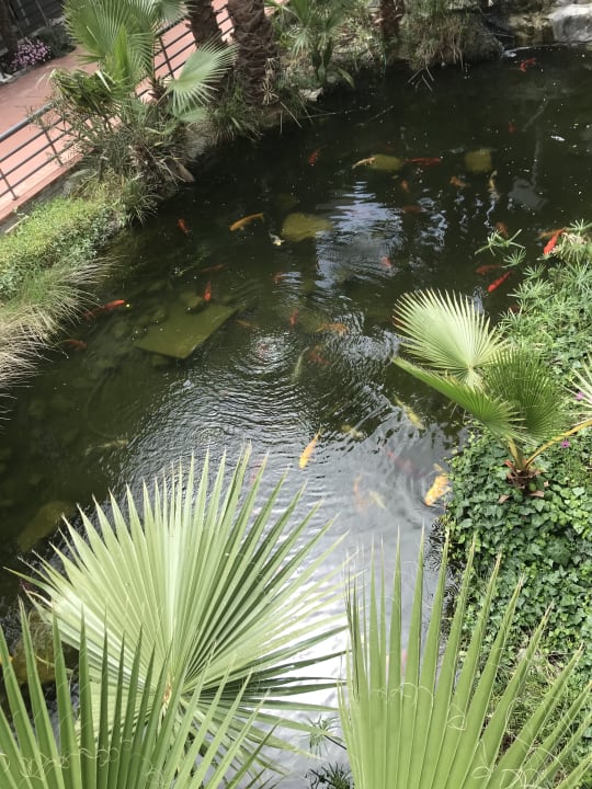 Gartenanlage Ilio Mare Hotel