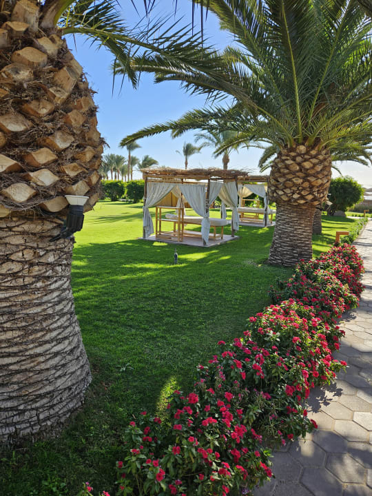 Gartenanlage Fort Arabesque Resort, Spa & Villas