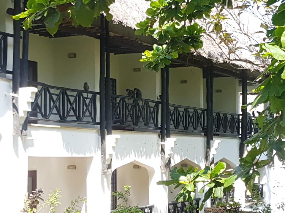 Zimmer Hotel Papillon Lagoon Reef